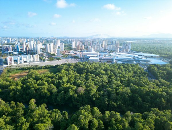 Vendez votre diamant à paris : expertise rapide et offres immédiates